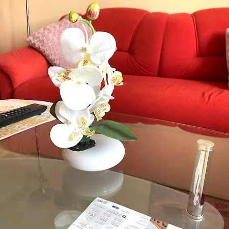 Botanika2 * トルナヴァ